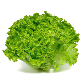 Lechuga
